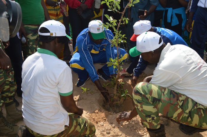Reboisement à Ouaga : L’ONI apporte 2500 plants